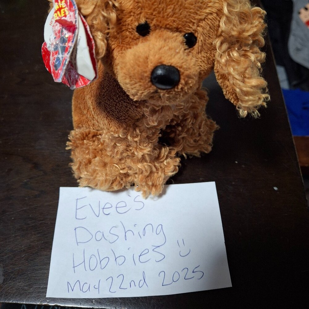 Ty Beanie Baby BB 2.0 Frolics The Puppy Dog Brown Curly Plush